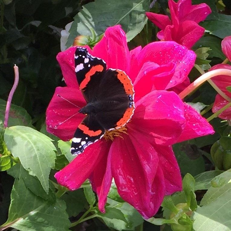 281354743 10224667299362520 4529379870673448304 n